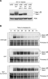 FIGURE 2: