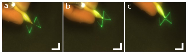 Fig. 10