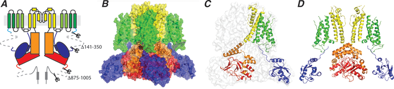 Figure 2: