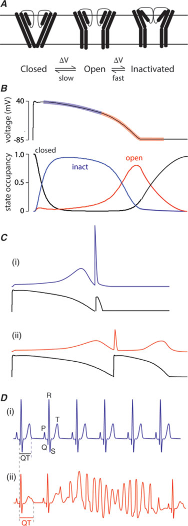 Figure 1: