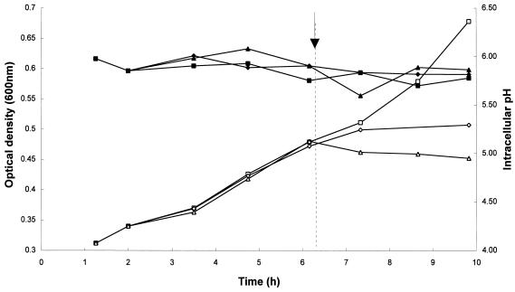 FIG. 6