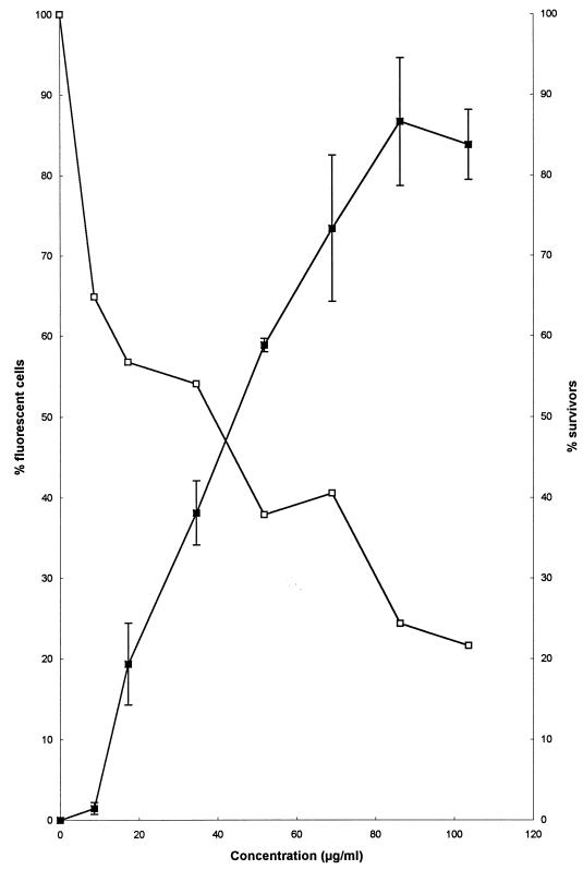 FIG. 5