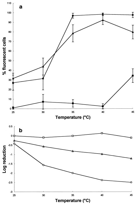 FIG. 10