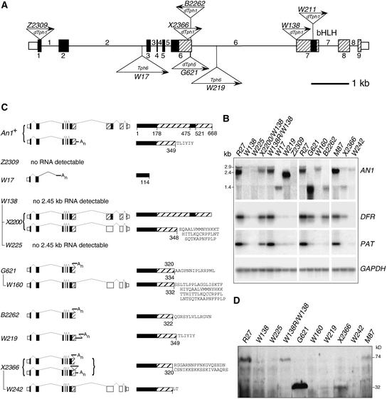 Figure 3.