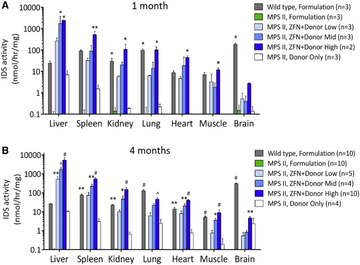 Figure 3