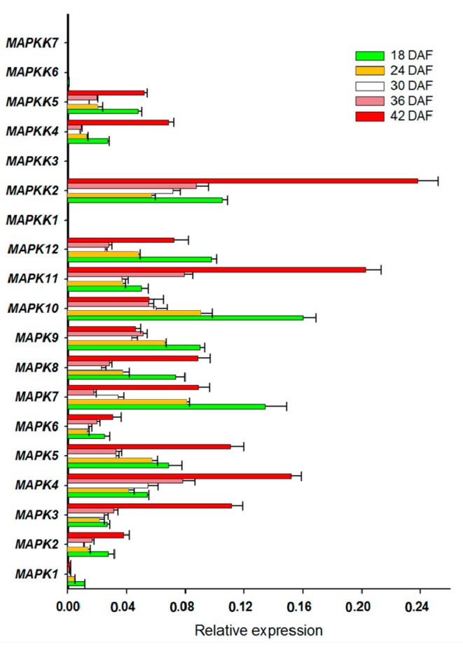 Figure 5