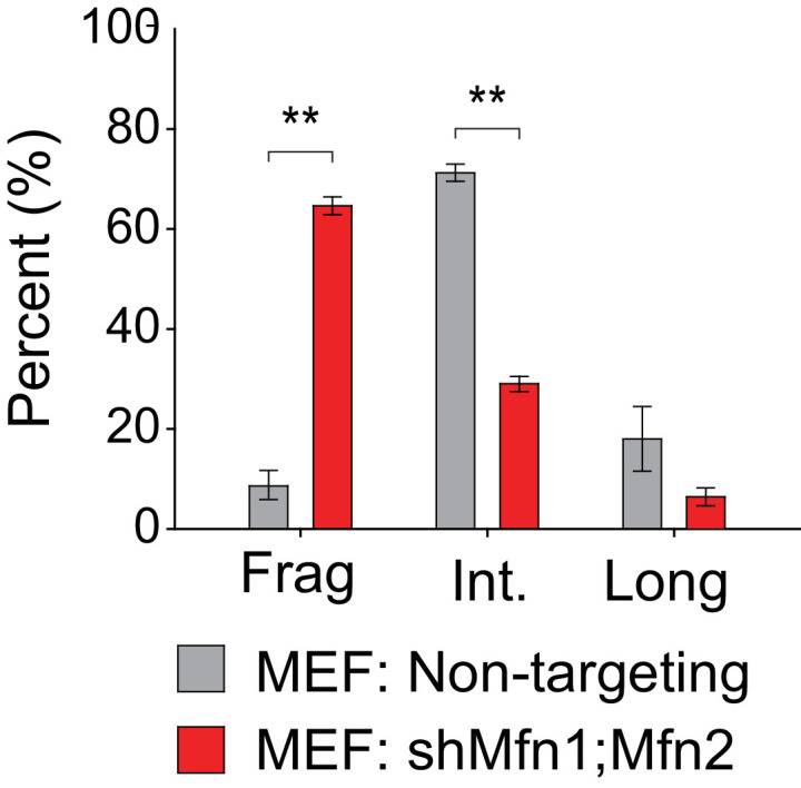 Figure 7—figure supplement 2.