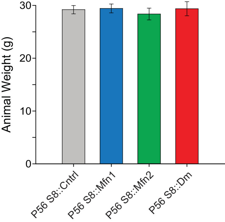 Figure 1—figure supplement 3.