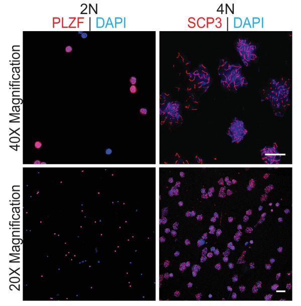 Figure 3—figure supplement 1.