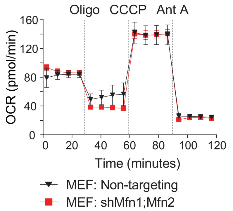 Figure 7—figure supplement 3.