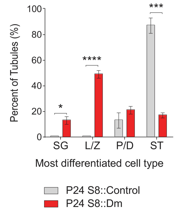 Figure 2—figure supplement 1.