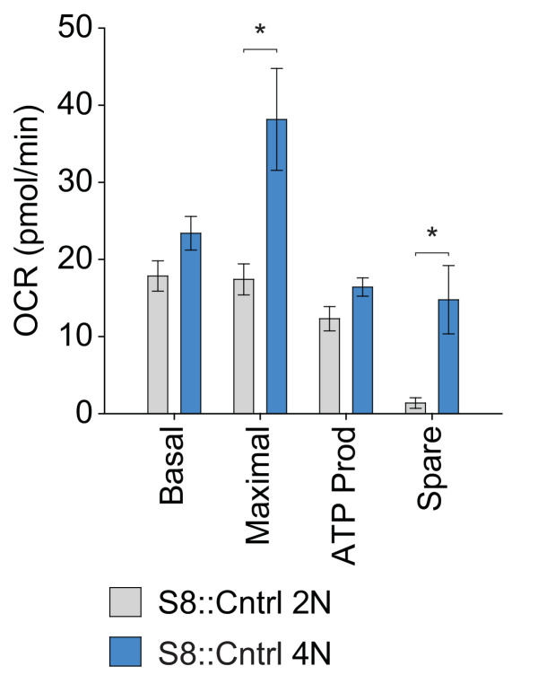 Figure 3—figure supplement 2.