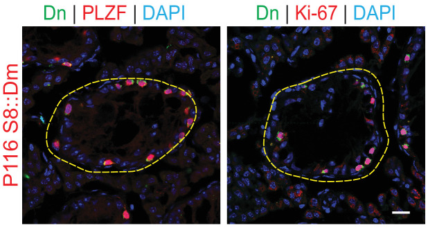 Figure 4—figure supplement 3.