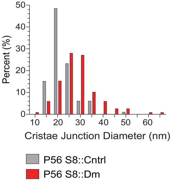 Figure 5—figure supplement 1.