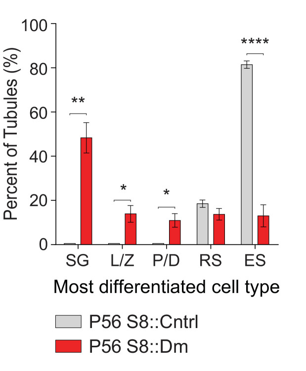 Figure 4—figure supplement 1.