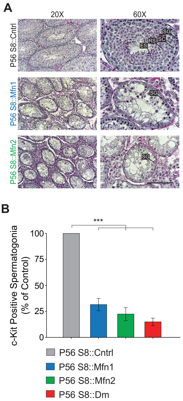 Figure 4—figure supplement 4.