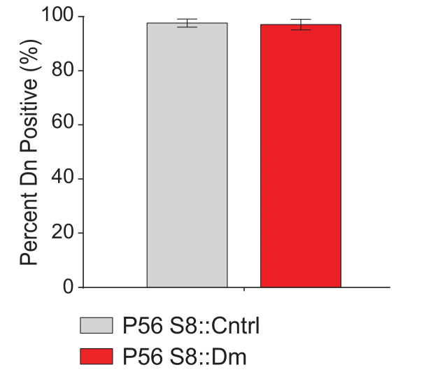 Figure 4—figure supplement 2.