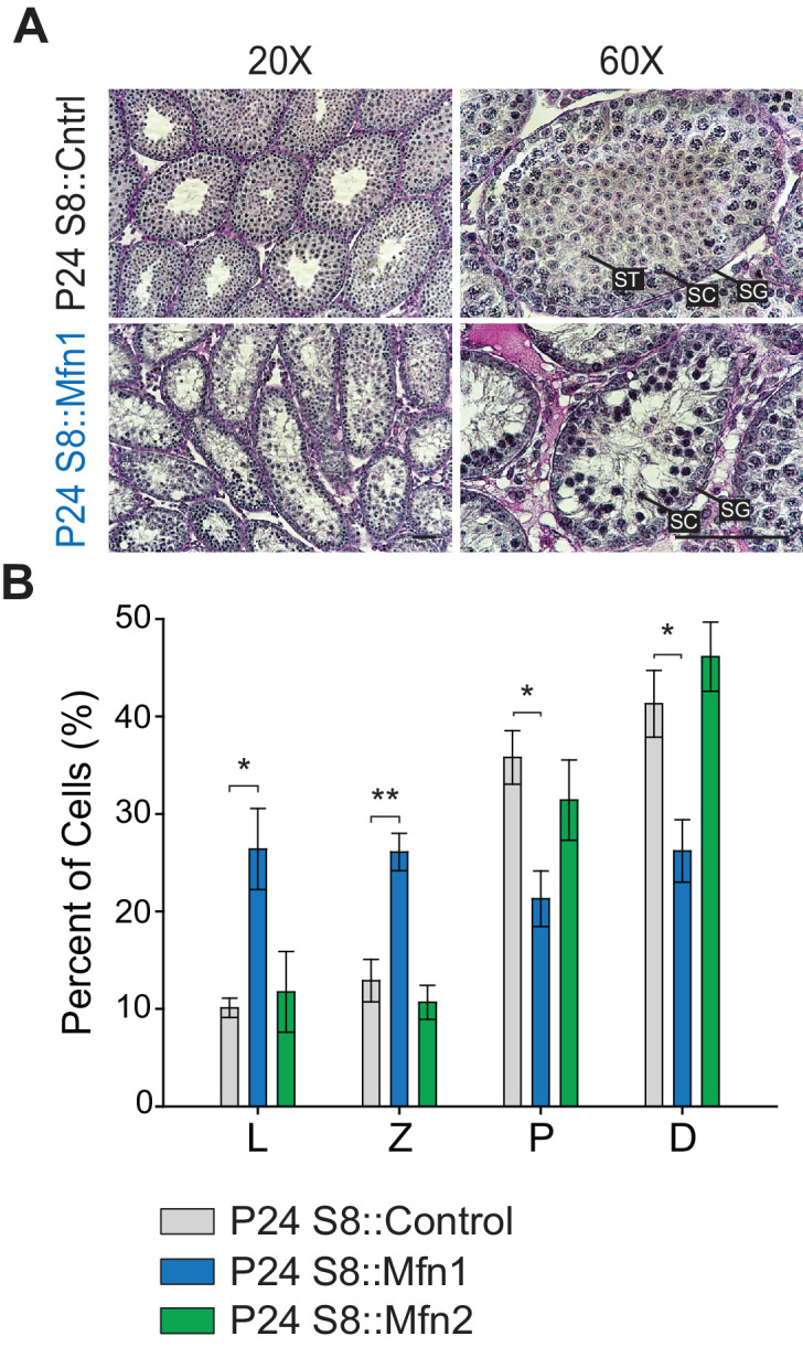 Figure 2—figure supplement 2.