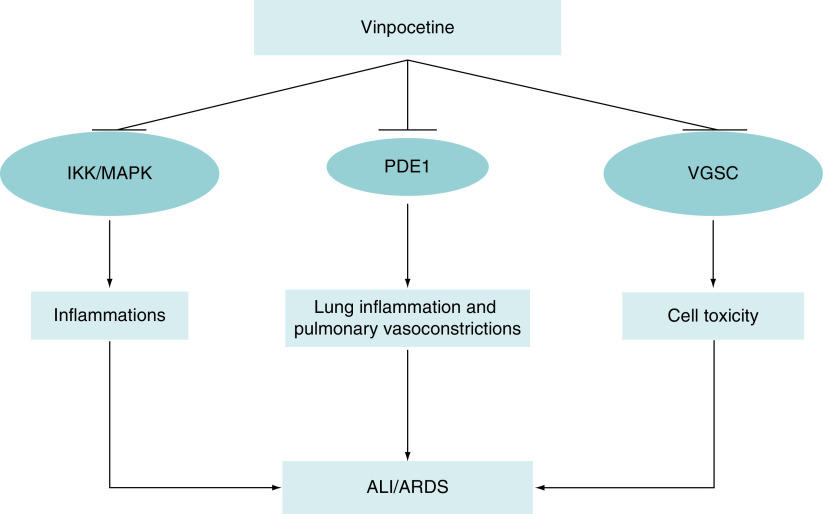 Figure 2. 