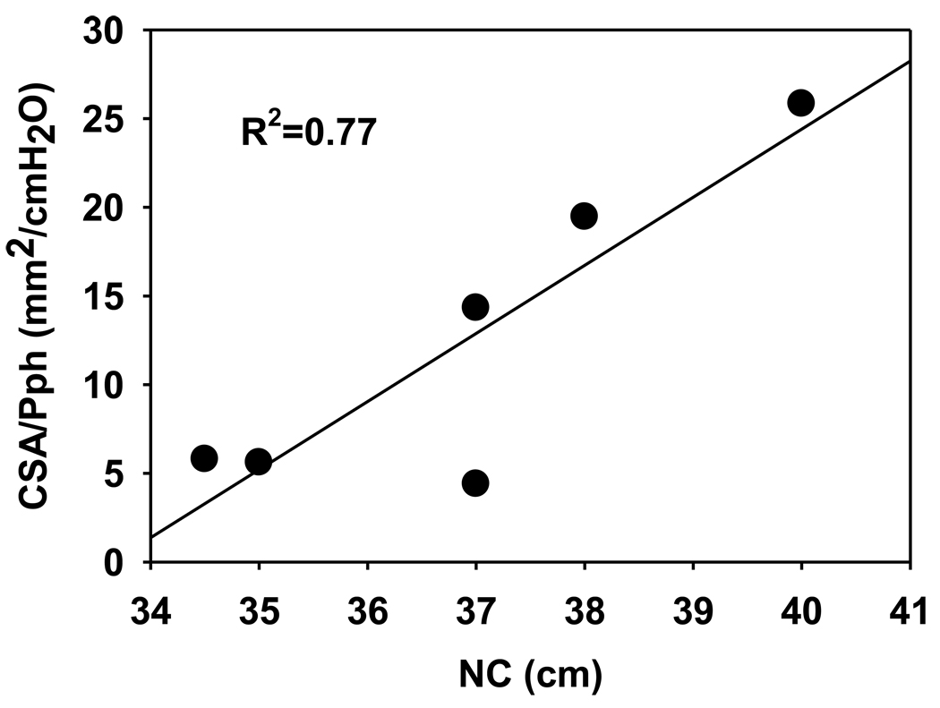 Figure 8