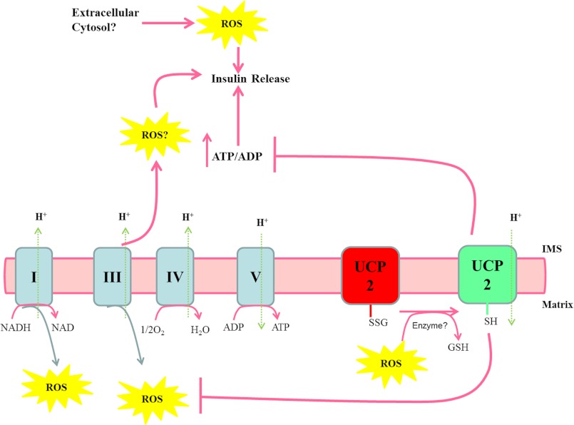 FIGURE 7.