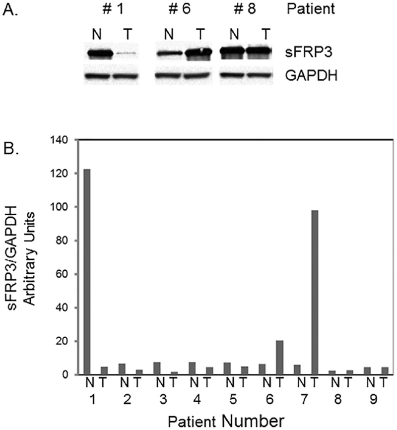 Fig.4.