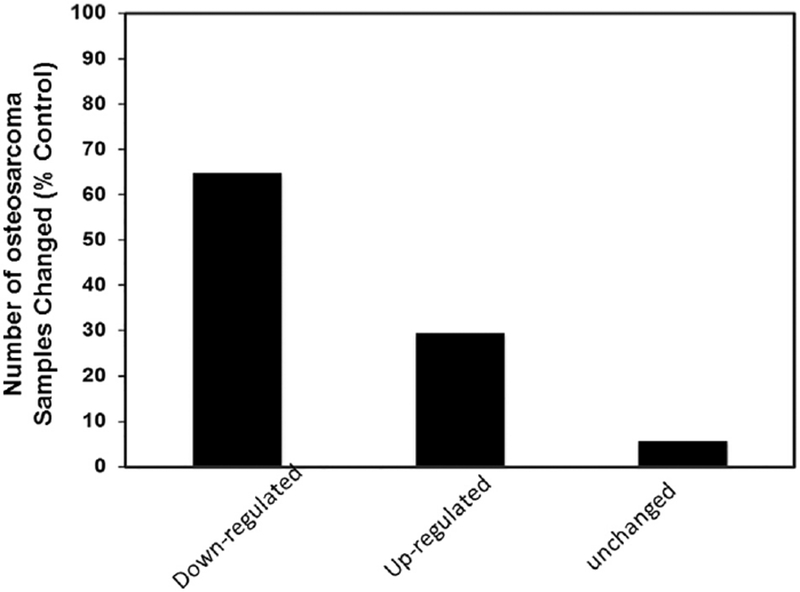 Fig.2.