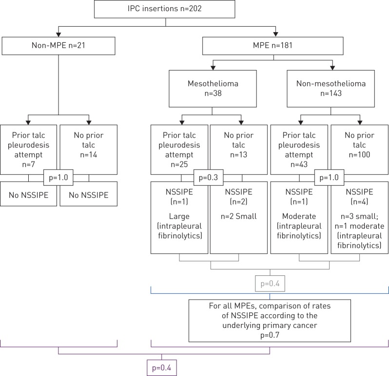 FIGURE 1