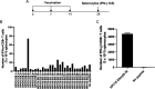 FIG 3