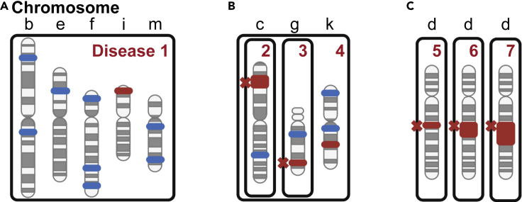 Figure 2