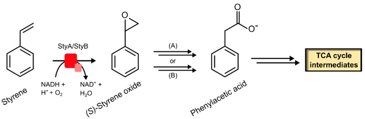 Scheme 3