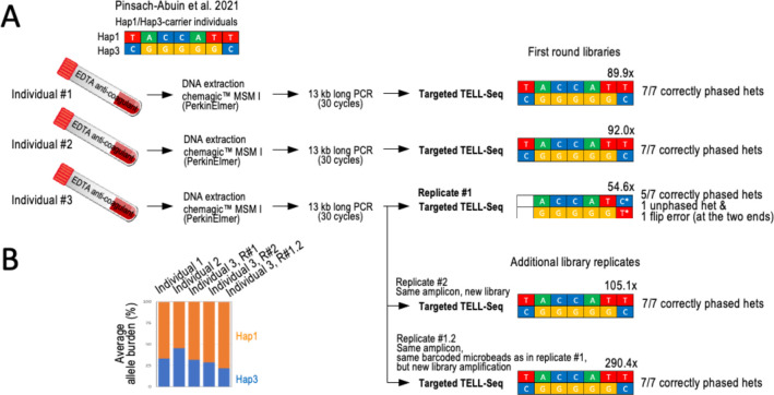 Figure 6 -