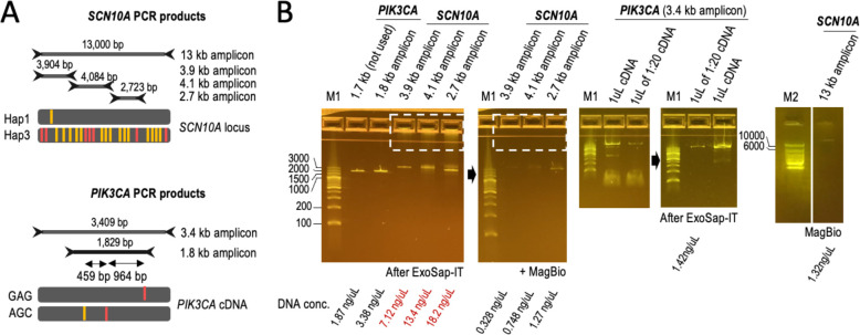 Figure 4 -