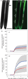 Fig. 4.