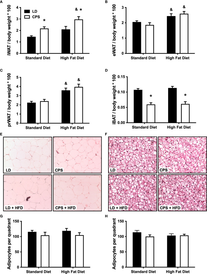 Figure 6