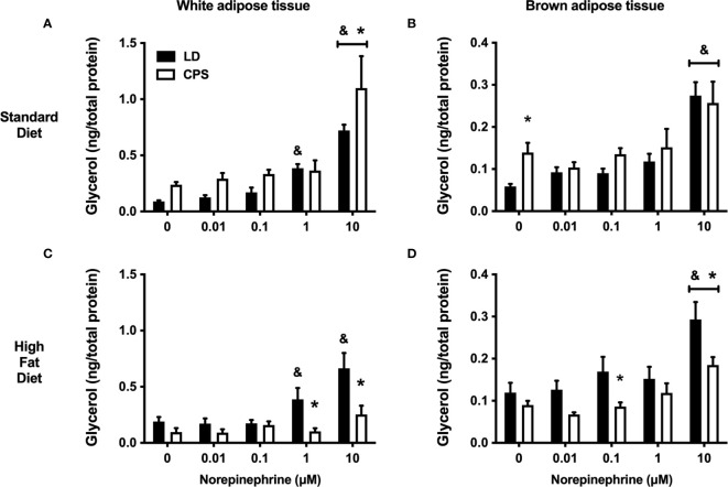 Figure 7