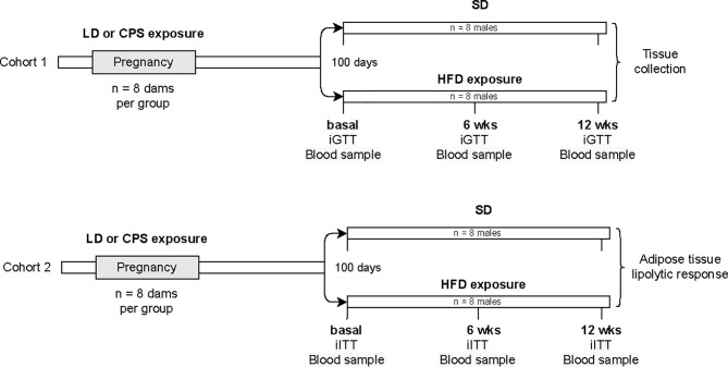 Figure 1