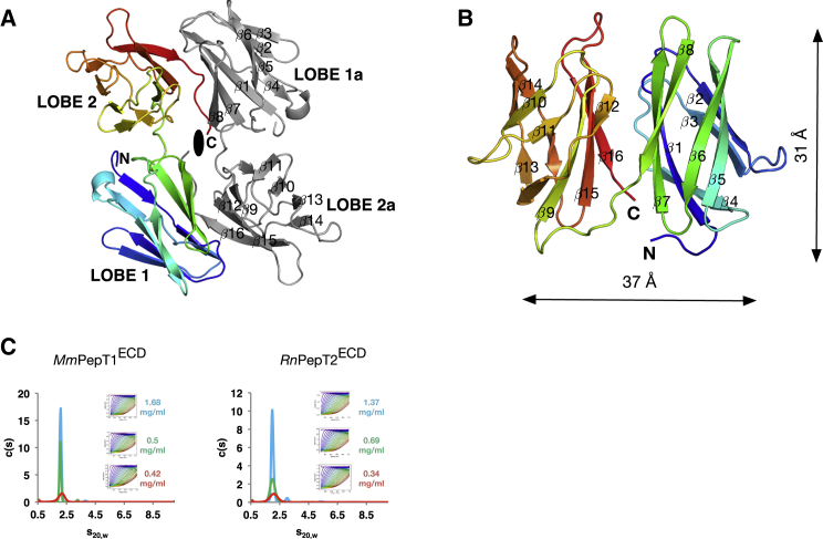 Figure 2