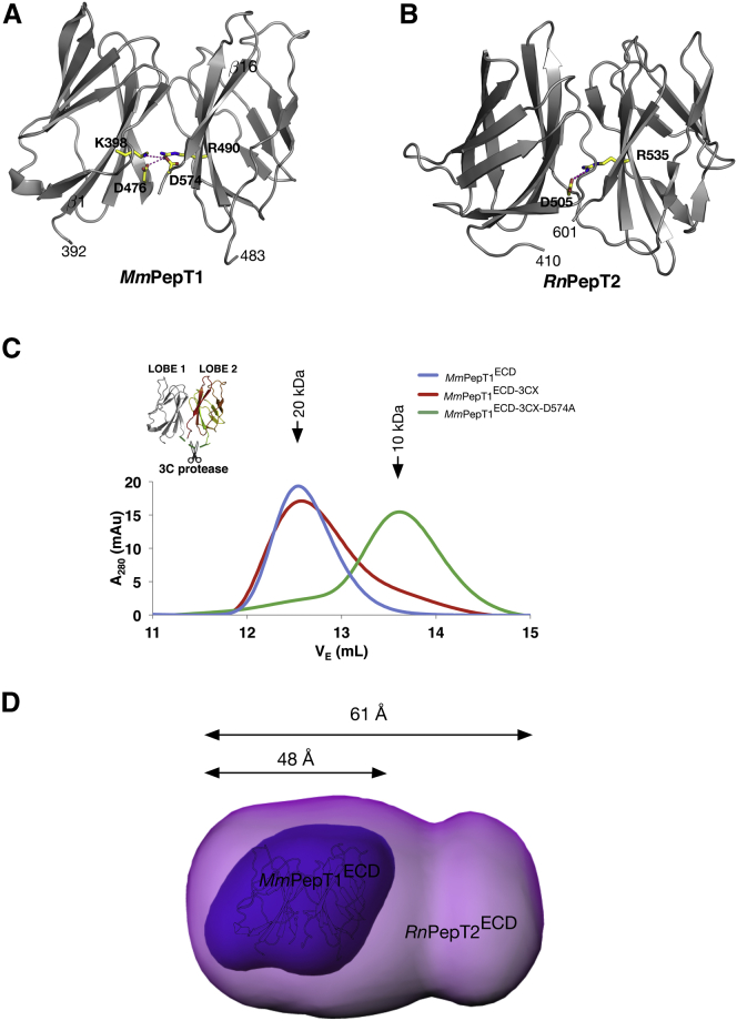 Figure 3