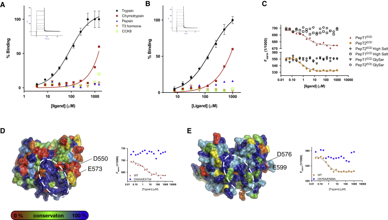 Figure 5