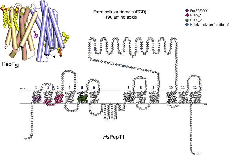 Figure 1