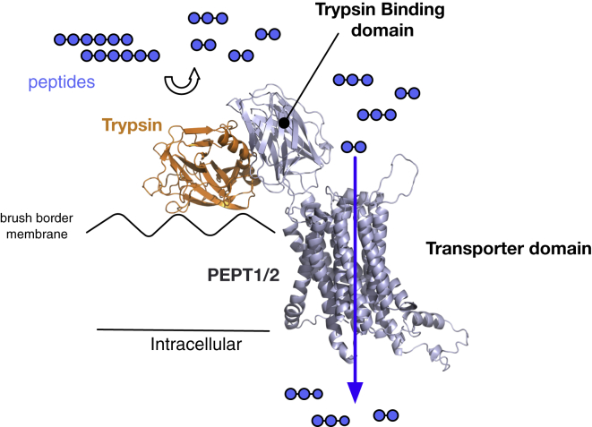 Figure 6