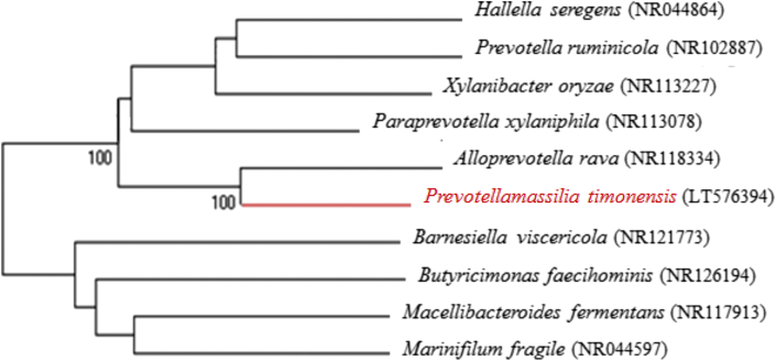 Fig. 1