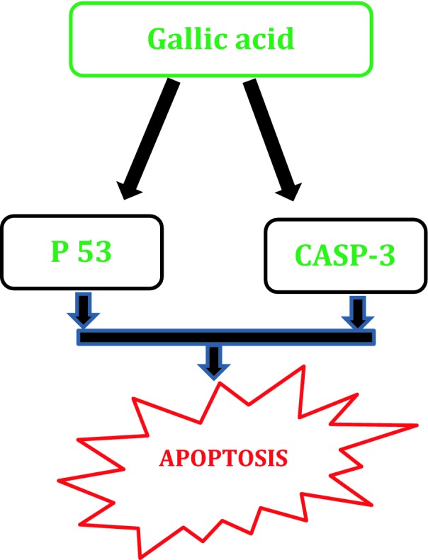 Fig. 6