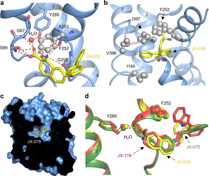 Fig. 2