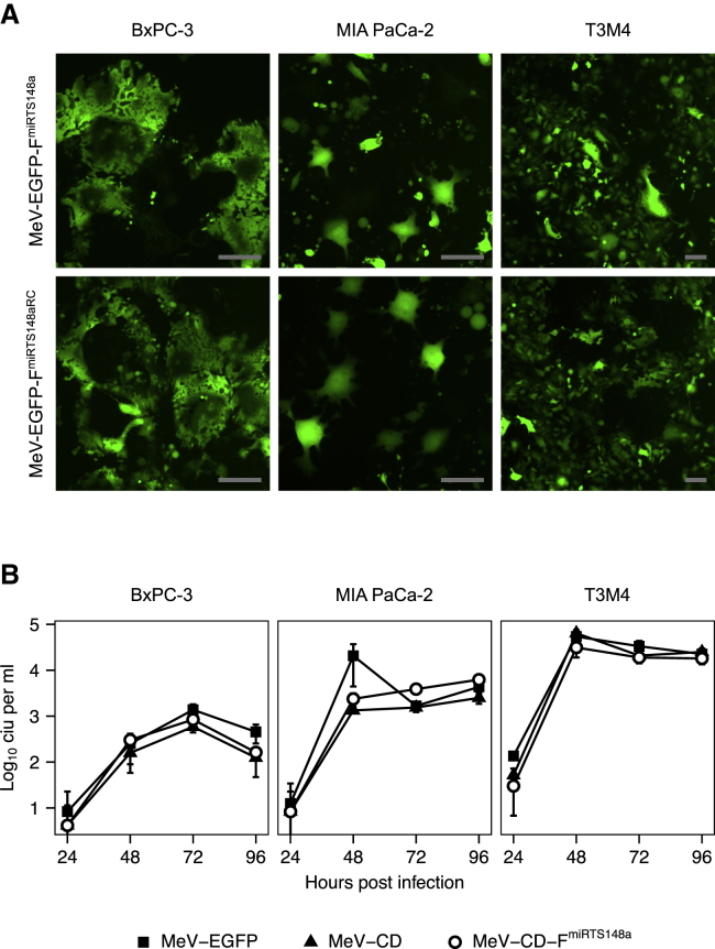 Figure 4