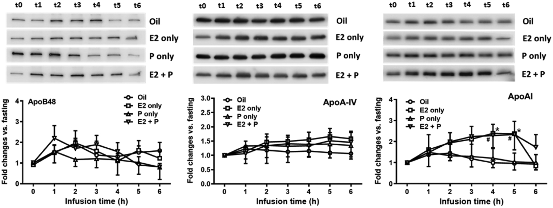 Fig. 10.