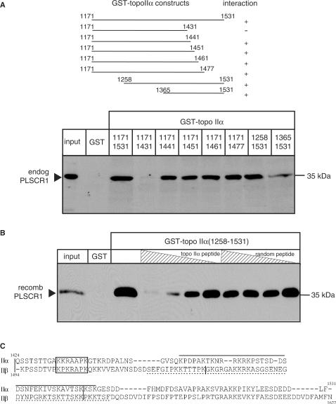 Figure 6.