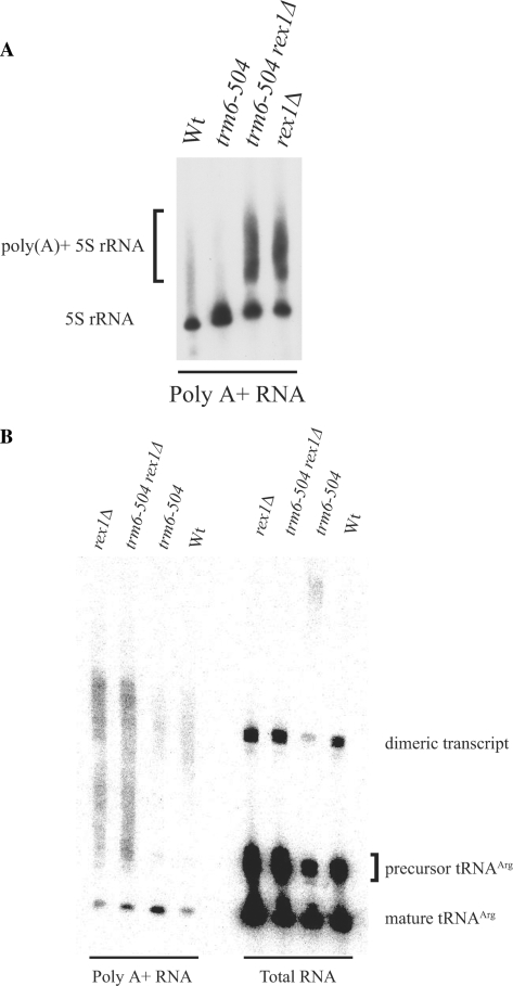 Figure 5.