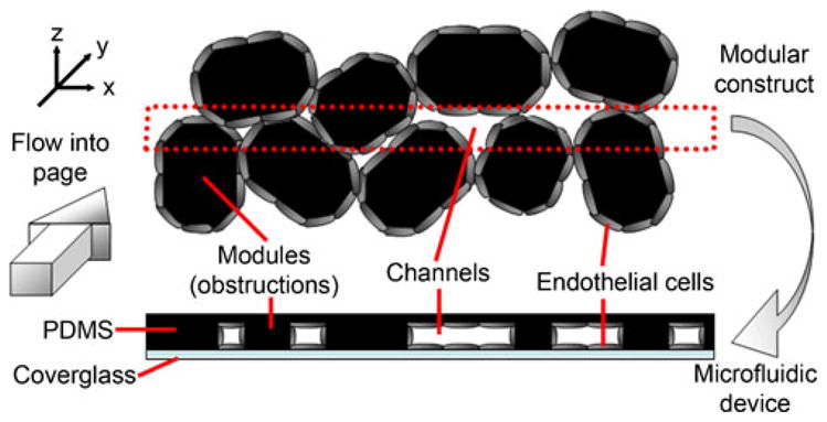 Fig. 11